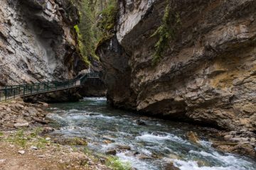 IMG_7567_20210721-scaled