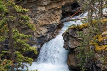 IMG_7581_20210721-scaled