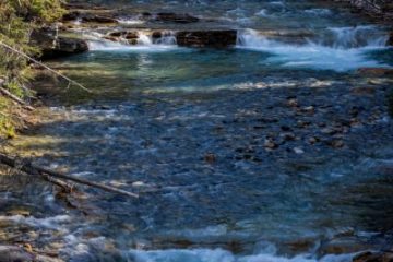 IMG_7611_20210721-scaled