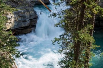 IMG_7615_20210721-scaled