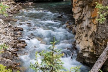 IMG_7625_20210721-scaled