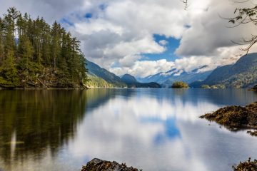 IMG_2338_20220422-scaled