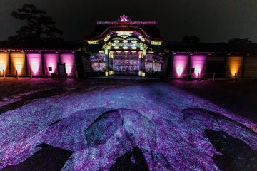 Nijo castle at night