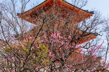 Kiyomizudera