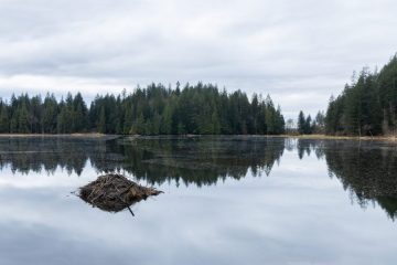IMG_5113_20210402-scaled
