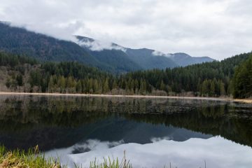 IMG_5116_20210402-scaled