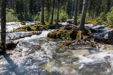 IMG_7214_20210719-scaled