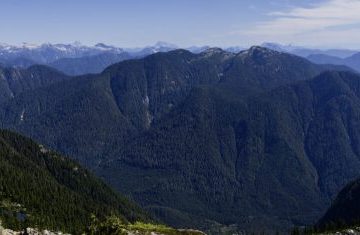 Views on top of Burwell