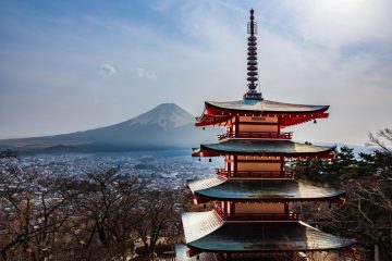 20230308-IMG_1613-scaled