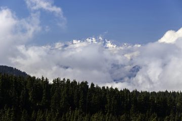 20250913-IMG_3933-scaled