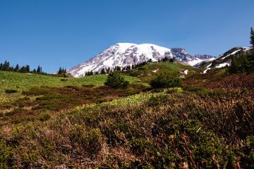 Mount Rainier