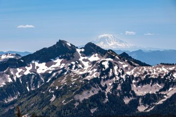 IMG_9224_20230703-scaled