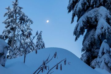Mount Seymour Trail