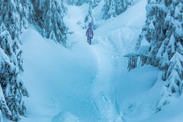 Mount Seymour Trail