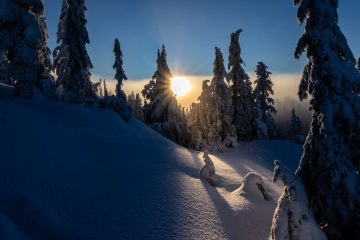 Mount Seymour Trail