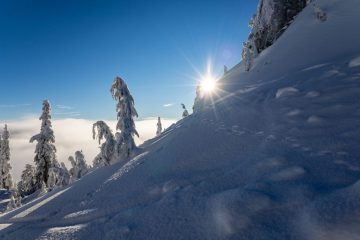 Mount Seymour Trail