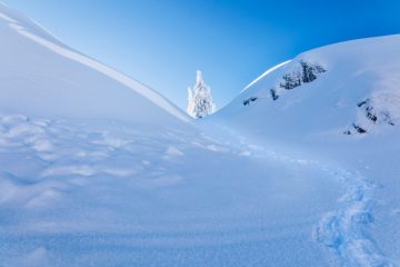 Mount Seymour Trail