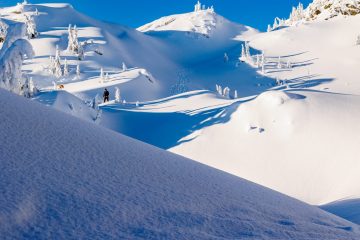 Mount Seymour Trail