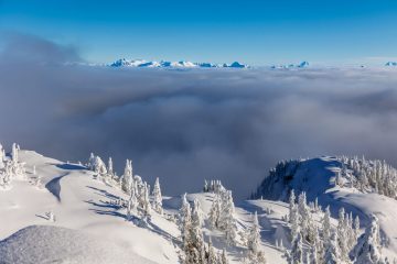 Mount Seymour Trail