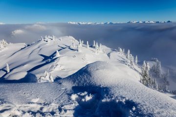 Mount Seymour Trail