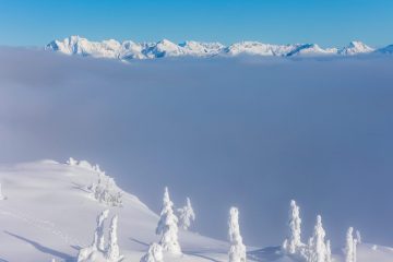 Mount Seymour Trail
