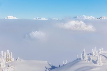 Mount Seymour Trail