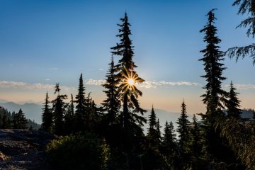 Mount Seymour Trail