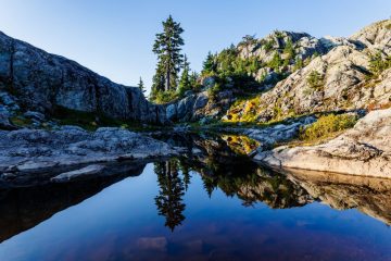 Mount Seymour Trail