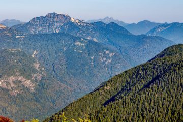 Mount Seymour Trail