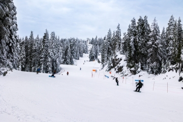 Skiers and Snowboarders