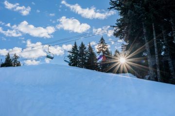 Mount Seymour Trail