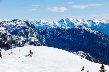 Mount Seymour Trail