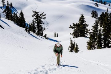 Mount Seymour Trail