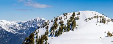 Mount Seymour Trail