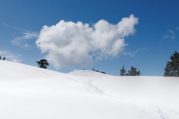 Mount Seymour Trail