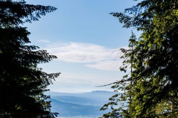 IMG_4064_20220701-scaled
