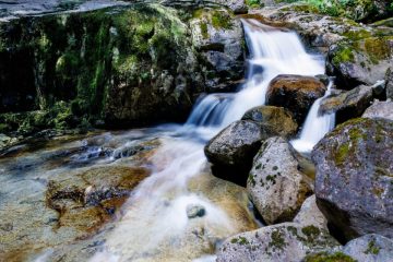 IMG_4108_20220701-scaled