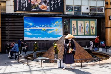 IMG_2368_20230311-scaled