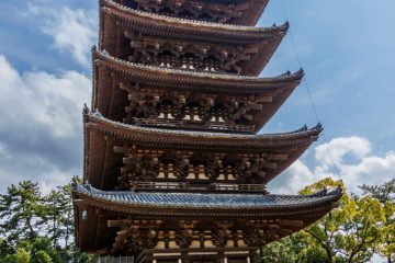 IMG_2390_20230311-scaled