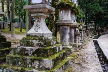 IMG_2441_20230311-scaled