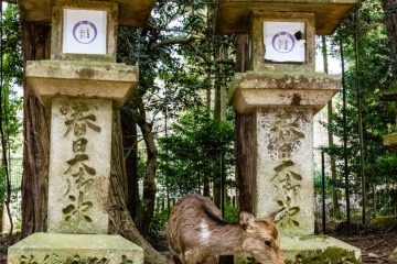 IMG_2445_20230311-scaled