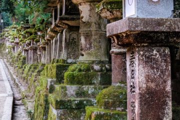 IMG_2452-Edit_20230311-scaled