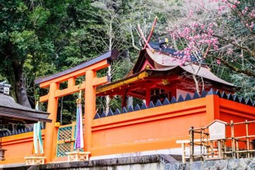 IMG_2463_20230311-scaled