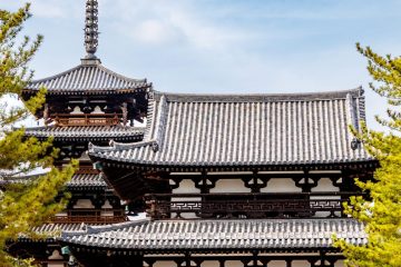 IMG_2467_20230311-scaled