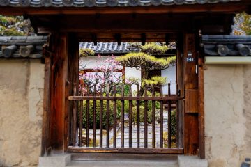 IMG_2493_20230312-scaled