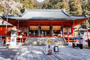 IMG_2039_20230310-scaled