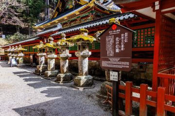 IMG_2050_20230310-scaled