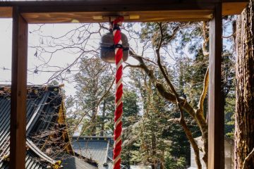 IMG_2077_20230310-scaled