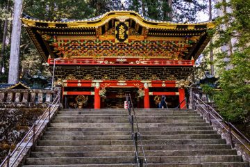 IMG_2098_20230310-scaled