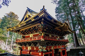 IMG_2106_20230310-scaled